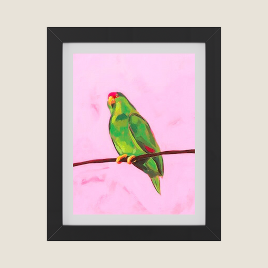 BIRD 1