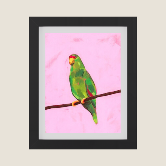 BIRD 4