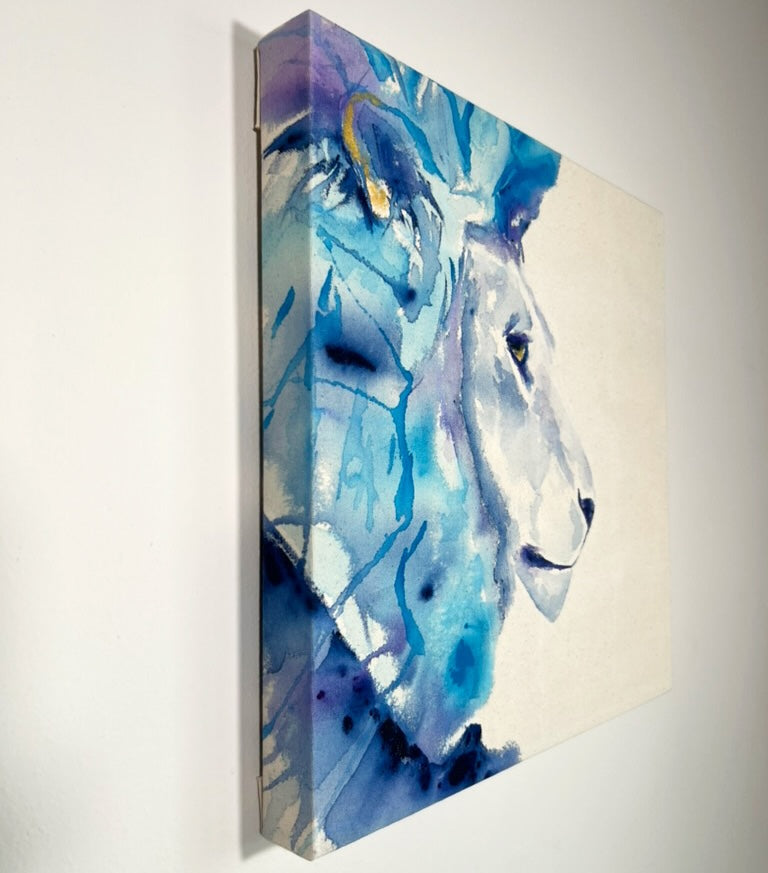 BLUE LION PROFILE 🔴