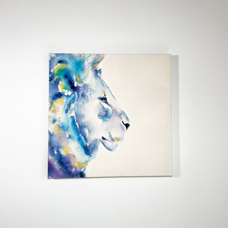 BLUE GOLD LION PROFILE 🔴